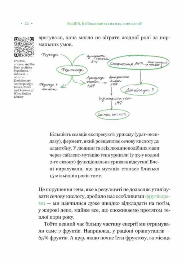 РаціON Як їжа впливає на нас а ми на неї Ціна (цена) 386.80грн. | придбати  купити (купить) РаціON Як їжа впливає на нас а ми на неї доставка по Украине, купить книгу, детские игрушки, компакт диски 5