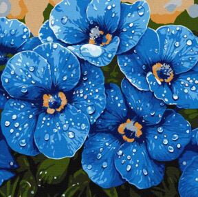 Розпис по номерах 40х40 КНО3316 Фіалки в росі "Ідейка"