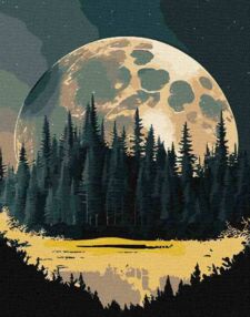 Розпис по номерах 40х50 КНО5108 Таємничий край фарби металік "Ідейка"