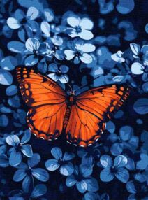 Розпис по номерах 30х40 КНО6733 Світло серед темряви "Ідейка"