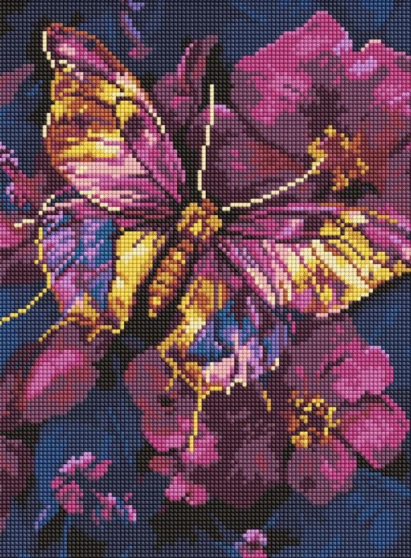 Алмазна мозаїка 30х40 АМО8161 Золотий метелик Ідейка Ціна (цена) 289.00грн. | придбати  купити (купить) Алмазна мозаїка 30х40 АМО8161 Золотий метелик Ідейка доставка по Украине, купить книгу, детские игрушки, компакт диски 0