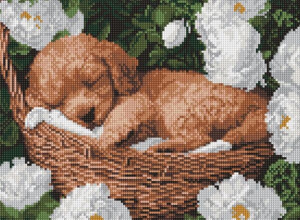 Алмазна мозаїка 30х40 АМО8170 Сплячий пудель Ідейка Ціна (цена) 284.30грн. | придбати  купити (купить) Алмазна мозаїка 30х40 АМО8170 Сплячий пудель Ідейка доставка по Украине, купить книгу, детские игрушки, компакт диски 0