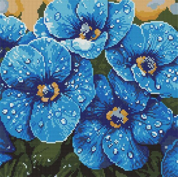 Алмазна мозаїка 40х40 АМО8228 Фіалки в росі Ідейка Ціна (цена) 301.00грн. | придбати  купити (купить) Алмазна мозаїка 40х40 АМО8228 Фіалки в росі Ідейка доставка по Украине, купить книгу, детские игрушки, компакт диски 0