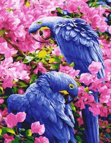 Розпис по номерах 40х50 BS25245 Птахи у квітах brushme Брашми Ціна (цена) 171.40грн. | придбати  купити (купить) Розпис по номерах 40х50 BS25245 Птахи у квітах brushme Брашми доставка по Украине, купить книгу, детские игрушки, компакт диски 0