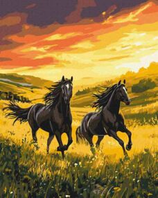 Розпис по номерах 40х50 BS54424 Нескорений біг brushme Брашми