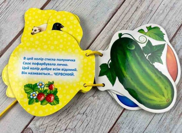 Кольори Розумні сторінки на шнурівці Ціна (цена) 68.00грн. | придбати  купити (купить) Кольори Розумні сторінки на шнурівці доставка по Украине, купить книгу, детские игрушки, компакт диски 3