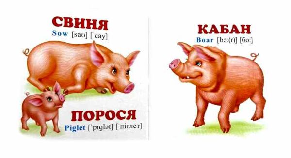 Мами тати малюки+англійські слова навколишній світ картонка формат А7 Ціна (цена) 28.80грн. | придбати  купити (купить) Мами тати малюки+англійські слова навколишній світ картонка формат А7 доставка по Украине, купить книгу, детские игрушки, компакт диски 2