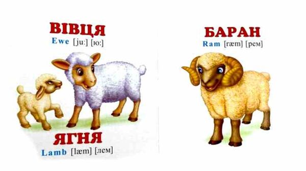 Мами тати малюки+англійські слова навколишній світ картонка формат А7 Ціна (цена) 28.80грн. | придбати  купити (купить) Мами тати малюки+англійські слова навколишній світ картонка формат А7 доставка по Украине, купить книгу, детские игрушки, компакт диски 3