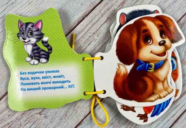 Хатні улюбленці Розумні сторінки на шнурівці Ціна (цена) 68.00грн. | придбати  купити (купить) Хатні улюбленці Розумні сторінки на шнурівці доставка по Украине, купить книгу, детские игрушки, компакт диски 1