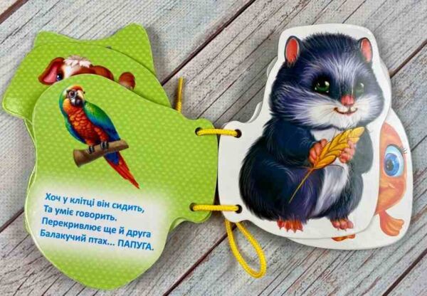 Хатні улюбленці Розумні сторінки на шнурівці Ціна (цена) 68.00грн. | придбати  купити (купить) Хатні улюбленці Розумні сторінки на шнурівці доставка по Украине, купить книгу, детские игрушки, компакт диски 2