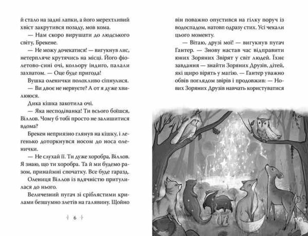 Зоряні Друзі Книга 3 Таємне заклинання Ціна (цена) 155.87грн. | придбати  купити (купить) Зоряні Друзі Книга 3 Таємне заклинання доставка по Украине, купить книгу, детские игрушки, компакт диски 2