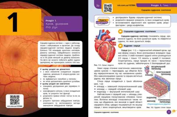 Природничі науки 8 клас Підручник нуш Ціна (цена) 509.80грн. | придбати  купити (купить) Природничі науки 8 клас Підручник нуш доставка по Украине, купить книгу, детские игрушки, компакт диски 2