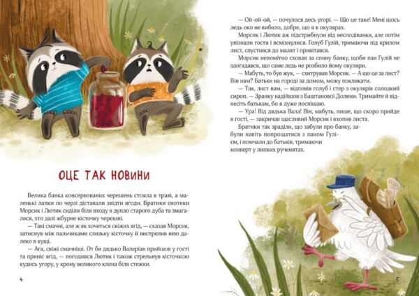 Шалене літо єнотів-бешкетників Ціна (цена) 408.00грн. | придбати  купити (купить) Шалене літо єнотів-бешкетників доставка по Украине, купить книгу, детские игрушки, компакт диски 3