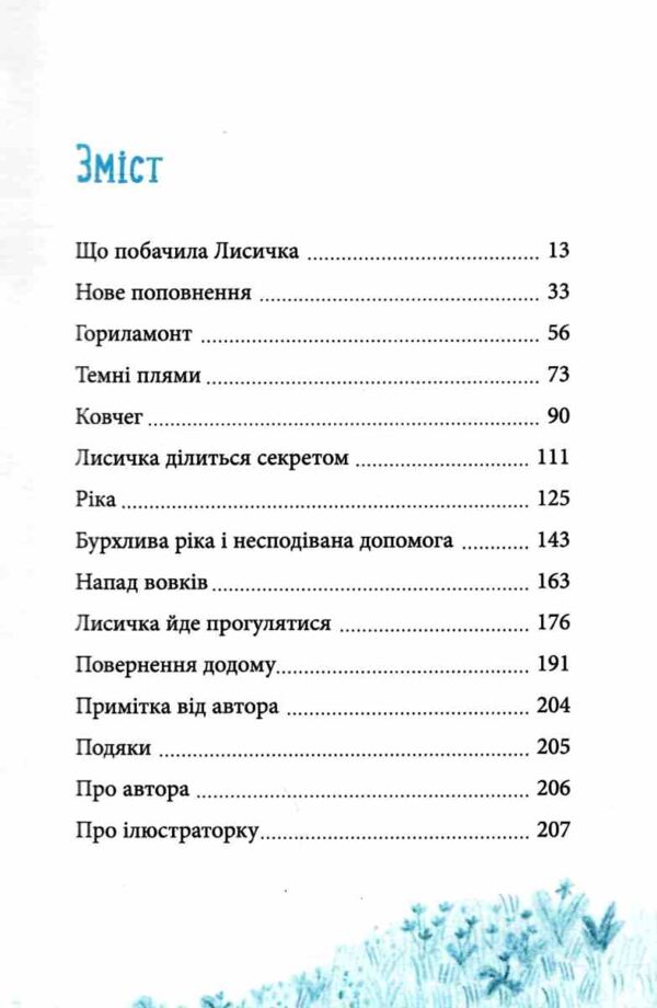 Лисичка вирушає на Північ Ціна (цена) 332.50грн. | придбати  купити (купить) Лисичка вирушає на Північ доставка по Украине, купить книгу, детские игрушки, компакт диски 1