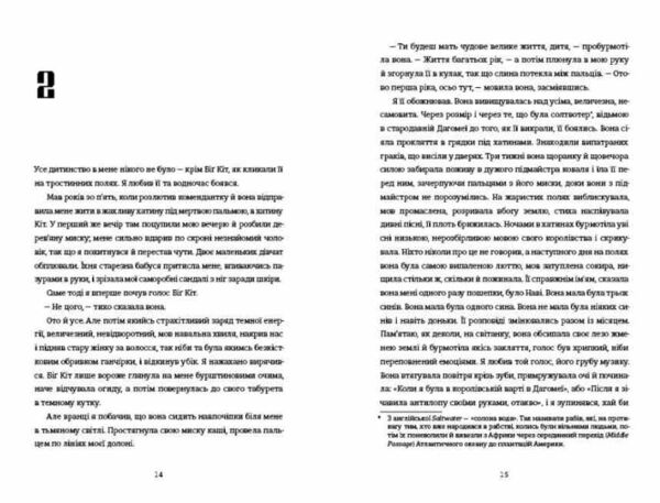 Вашингтон Блек Ціна (цена) 394.00грн. | придбати  купити (купить) Вашингтон Блек доставка по Украине, купить книгу, детские игрушки, компакт диски 3