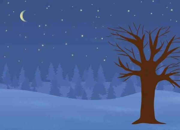 Мій альбом для аплікації та ліплення 5-6 років Ціна (цена) 65.00грн. | придбати  купити (купить) Мій альбом для аплікації та ліплення 5-6 років доставка по Украине, купить книгу, детские игрушки, компакт диски 7