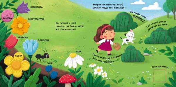 Якого кольору? Книжка для малечі Ціна (цена) 174.10грн. | придбати  купити (купить) Якого кольору? Книжка для малечі доставка по Украине, купить книгу, детские игрушки, компакт диски 1