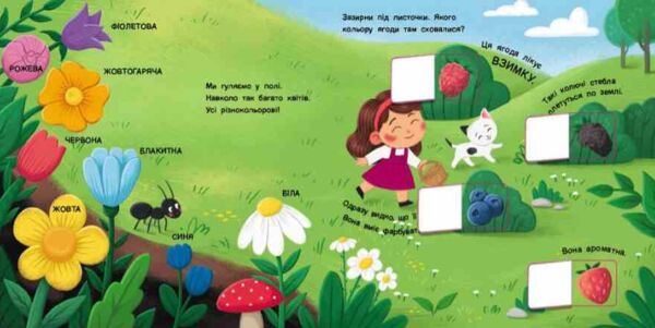 Якого кольору? Книжка для малечі Ціна (цена) 174.10грн. | придбати  купити (купить) Якого кольору? Книжка для малечі доставка по Украине, купить книгу, детские игрушки, компакт диски 2