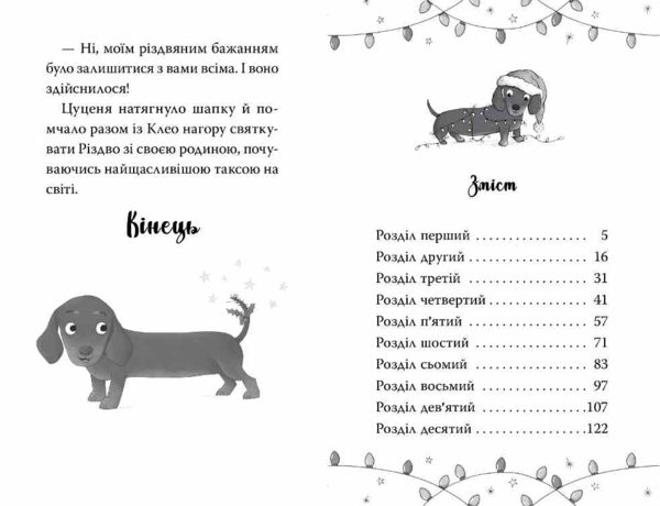 Такса Санта Ціна (цена) 155.87грн. | придбати  купити (купить) Такса Санта доставка по Украине, купить книгу, детские игрушки, компакт диски 5