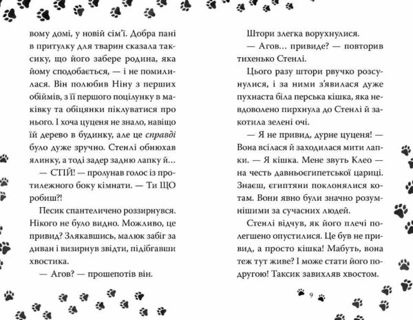 Такса Санта Ціна (цена) 155.87грн. | придбати  купити (купить) Такса Санта доставка по Украине, купить книгу, детские игрушки, компакт диски 3