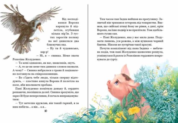 Рохеліна Жолуденко та Бінго Ціна (цена) 224.00грн. | придбати  купити (купить) Рохеліна Жолуденко та Бінго доставка по Украине, купить книгу, детские игрушки, компакт диски 1