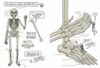 Театр людського тіла комікс Ціна (цена) 408.32грн. | придбати  купити (купить) Театр людського тіла комікс доставка по Украине, купить книгу, детские игрушки, компакт диски 4