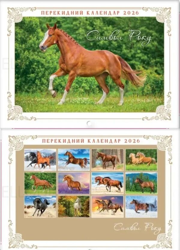 Календар 2026 настінний перекидний горизонтальний в асортименті Ціна (цена) 30.30грн. | придбати  купити (купить) Календар 2026 настінний перекидний горизонтальний в асортименті доставка по Украине, купить книгу, детские игрушки, компакт диски 6