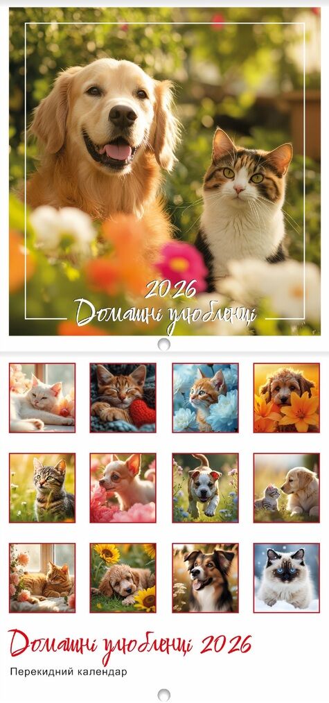 Календар 2026 настінний перекидний Квадрат малий 12 видів Ціна (цена) 19.90грн. | придбати  купити (купить) Календар 2026 настінний перекидний Квадрат малий 12 видів доставка по Украине, купить книгу, детские игрушки, компакт диски 3