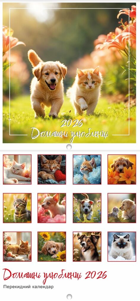 Календар 2026 настінний перекидний Квадрат малий 12 видів Ціна (цена) 19.90грн. | придбати  купити (купить) Календар 2026 настінний перекидний Квадрат малий 12 видів доставка по Украине, купить книгу, детские игрушки, компакт диски 2