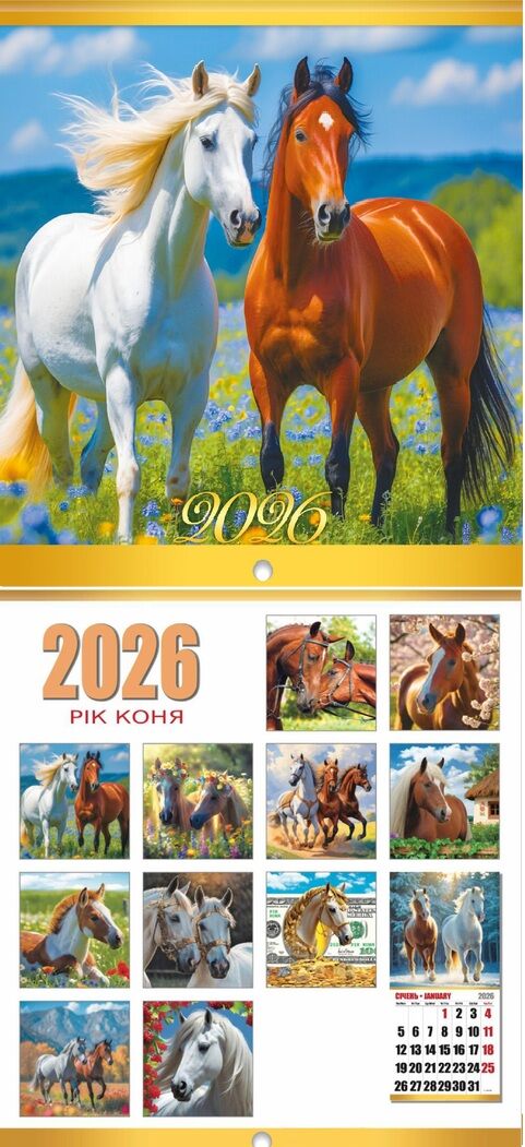 Календар 2026 настінний перекидний Квадрат малий 12 видів Ціна (цена) 19.90грн. | придбати  купити (купить) Календар 2026 настінний перекидний Квадрат малий 12 видів доставка по Украине, купить книгу, детские игрушки, компакт диски 5