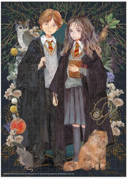 Пазли Harry Potter Герміона та Роналд 300 елементів Ціна (цена) 109.80грн. | придбати  купити (купить) Пазли Harry Potter Герміона та Роналд 300 елементів доставка по Украине, купить книгу, детские игрушки, компакт диски 1