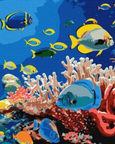 Розпис по номерах 40х50 КНО6704 Життя океану "Ідейка"