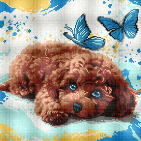 Алмазна мозаїка 40х40 АМО8337 Милий пудель Ідейка Ціна (цена) 313.20грн. | придбати  купити (купить) Алмазна мозаїка 40х40 АМО8337 Милий пудель Ідейка доставка по Украине, купить книгу, детские игрушки, компакт диски 0