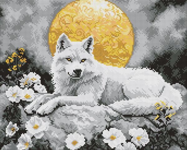 Алмазна мозаїка 40х50 АМО8244 Під світлом місяця Ідейка Ціна (цена) 316.70грн. | придбати  купити (купить) Алмазна мозаїка 40х50 АМО8244 Під світлом місяця Ідейка доставка по Украине, купить книгу, детские игрушки, компакт диски 0