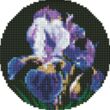 Алмазна мозаїка d19 AM-R7924 Ніжні іриси на круглому підрамнику "Ідейка" купити