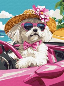 Розпис по номерах 30х40 КНО6738 Рожева машина "Ідейка"