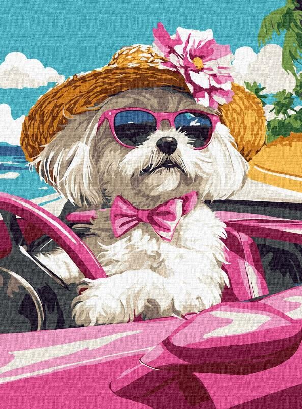 Розпис по номерах 30х40 КНО6738 Рожева машина Ідейка Ціна (цена) 176.30грн. | придбати  купити (купить) Розпис по номерах 30х40 КНО6738 Рожева машина Ідейка доставка по Украине, купить книгу, детские игрушки, компакт диски 0