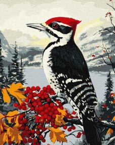 Розпис по номерах 40х50 КНО6777 Дятел на гілці "Ідейка"