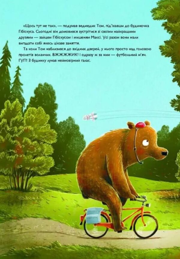 Заєць Гібіскус і велика сварка Ціна (цена) 225.00грн. | придбати  купити (купить) Заєць Гібіскус і велика сварка доставка по Украине, купить книгу, детские игрушки, компакт диски 1