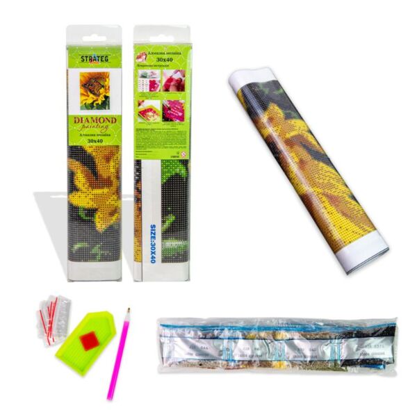 Алмазна мозаїка б/підрамн 30х40 ZAV3040-41 Передчуття Strateg Ціна (цена) 158.48грн. | придбати  купити (купить) Алмазна мозаїка б/підрамн 30х40 ZAV3040-41 Передчуття Strateg доставка по Украине, купить книгу, детские игрушки, компакт диски 1