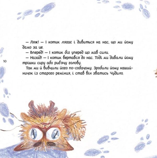 Жук-водолюб і таргани Оповідання для дітей Ціна (цена) 395.70грн. | придбати  купити (купить) Жук-водолюб і таргани Оповідання для дітей доставка по Украине, купить книгу, детские игрушки, компакт диски 3