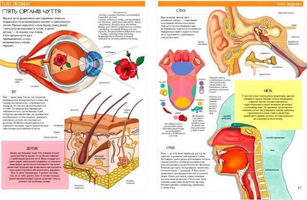 Енциклопедія Всезнайки Ціна (цена) 272.00грн. | придбати  купити (купить) Енциклопедія Всезнайки доставка по Украине, купить книгу, детские игрушки, компакт диски 5