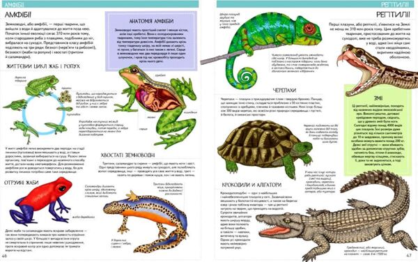 Енциклопедія Всезнайки Ціна (цена) 272.00грн. | придбати  купити (купить) Енциклопедія Всезнайки доставка по Украине, купить книгу, детские игрушки, компакт диски 6
