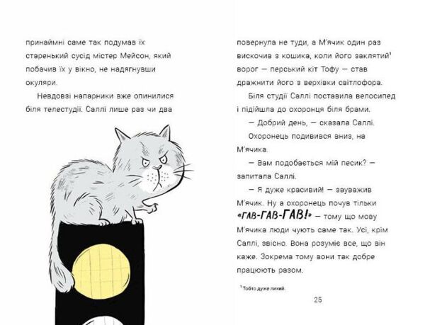 Cаллі Шукайіі М’ячик ведуть слідство Ніс за вітром Ціна (цена) 380.00грн. | придбати  купити (купить) Cаллі Шукайіі М’ячик ведуть слідство Ніс за вітром доставка по Украине, купить книгу, детские игрушки, компакт диски 4