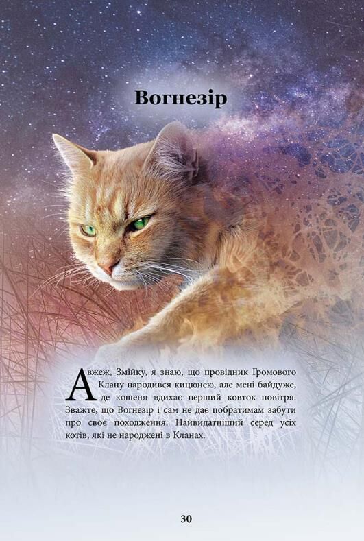 Коти-вояки Герої кланів Хроніки Зореклану Ціна (цена) 374.10грн. | придбати  купити (купить) Коти-вояки Герої кланів Хроніки Зореклану доставка по Украине, купить книгу, детские игрушки, компакт диски 3