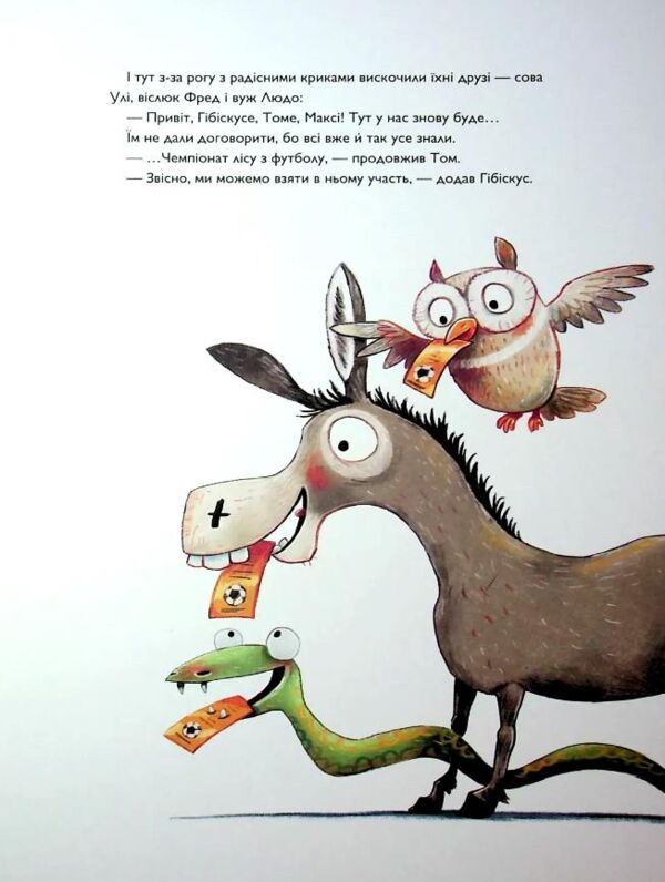 Заєць Гібіскус і Чемпіонат лісу з футболу Ціна (цена) 184.00грн. | придбати  купити (купить) Заєць Гібіскус і Чемпіонат лісу з футболу доставка по Украине, купить книгу, детские игрушки, компакт диски 3