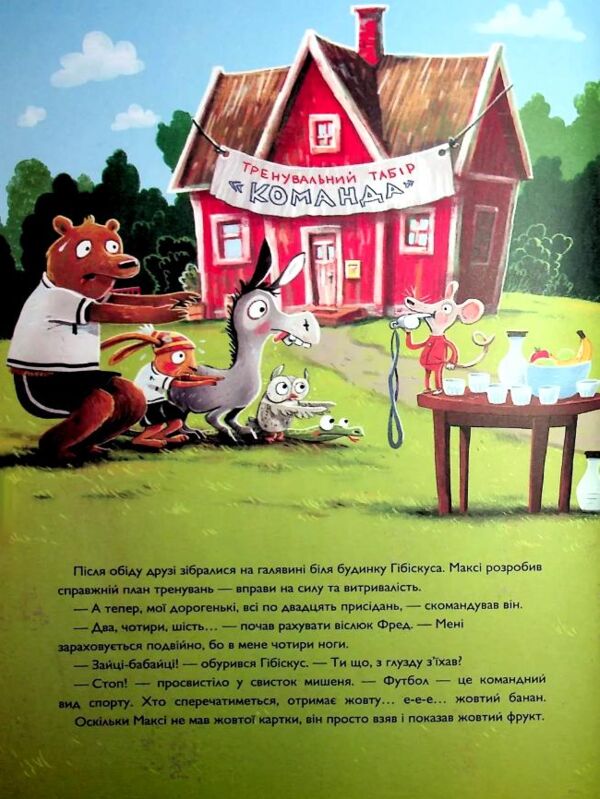 Заєць Гібіскус і Чемпіонат лісу з футболу Ціна (цена) 184.00грн. | придбати  купити (купить) Заєць Гібіскус і Чемпіонат лісу з футболу доставка по Украине, купить книгу, детские игрушки, компакт диски 6