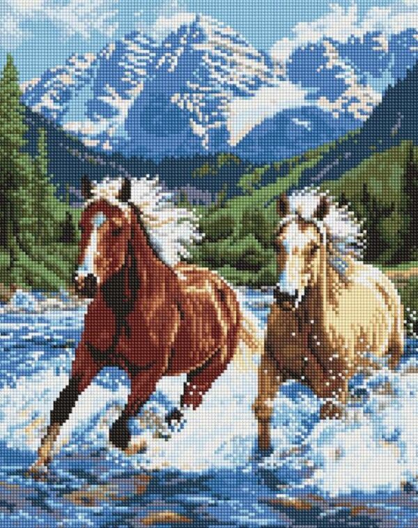 Алмазна мозаїка 40х50 АМО20010 Сила у русі Ідейка Ціна (цена) 321.00грн. | придбати  купити (купить) Алмазна мозаїка 40х50 АМО20010 Сила у русі Ідейка доставка по Украине, купить книгу, детские игрушки, компакт диски 0