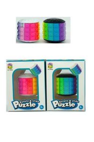 Головоломка 2 види 8000B