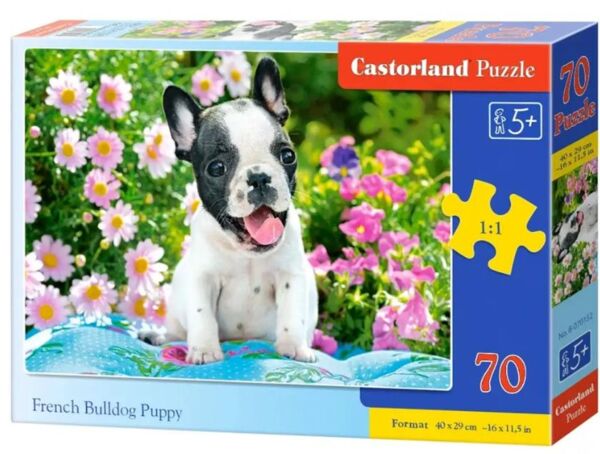 Пазли castorland 70 елементів Цуценя французького бульдога артикул 070152 Ціна (цена) 235.10грн. | придбати  купити (купить) Пазли castorland 70 елементів Цуценя французького бульдога артикул 070152 доставка по Украине, купить книгу, детские игрушки, компакт диски 0